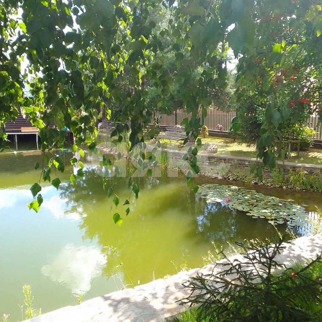 Фото №13: Участок садоводство 620 сот. - Дудкино, мкр. СНТ Дудкино, 67