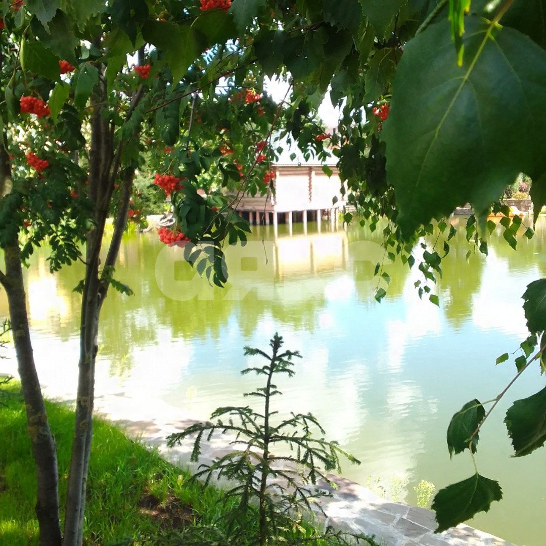 Фото №9: Участок садоводство 620 сот. - Дудкино, мкр. СНТ Дудкино, 67