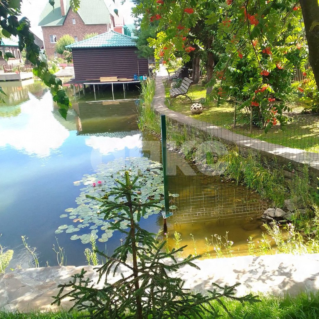 Фото №12: Участок садоводство 620 сот. - Дудкино, мкр. СНТ Дудкино, 67