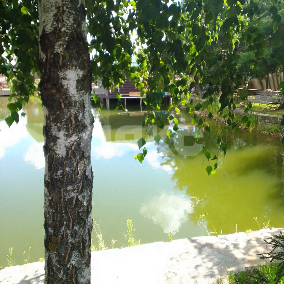 Фото №11: Участок садоводство 620 сот. - Дудкино, мкр. СНТ Дудкино, 67