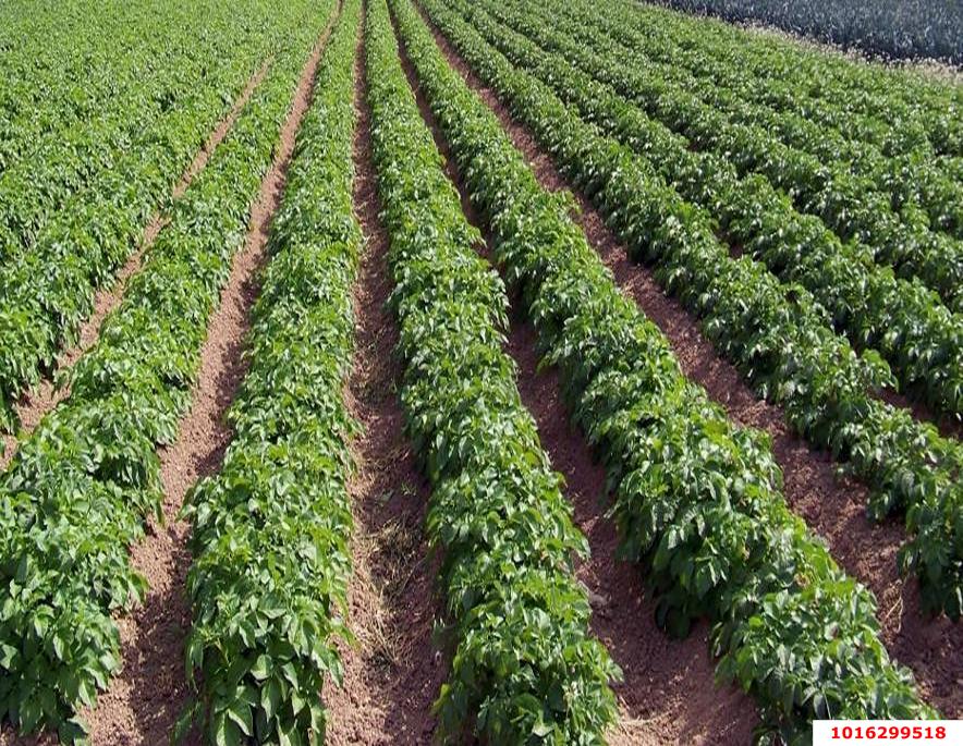 Фото №1: Коммерция 220 м² - Краснодарский край Апшеронский район