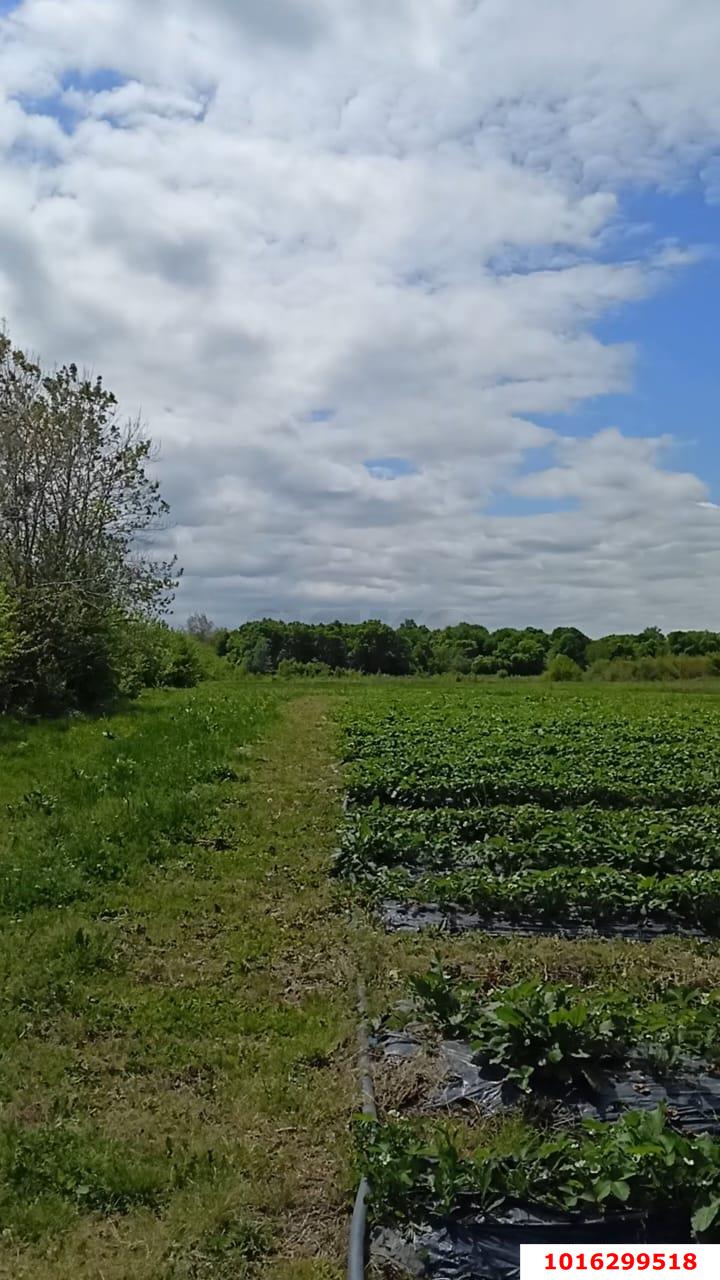 Фото №3: Коммерция 220 м² - Краснодарский край Апшеронский район