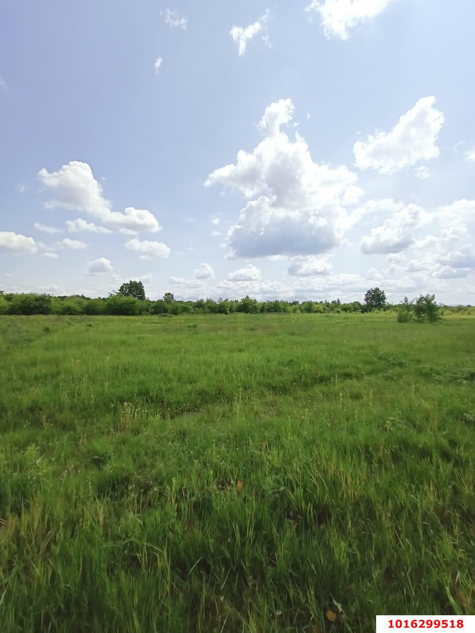 Фото №4: Коммерция 220 м² - Краснодарский край Апшеронский район