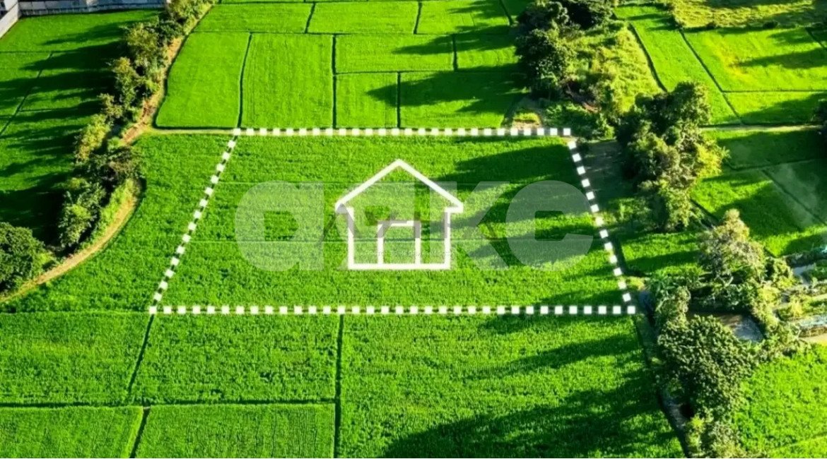 Фото №2: Земельный участок под ИЖС 46 сот. - Первомайский, ул. Первомайская