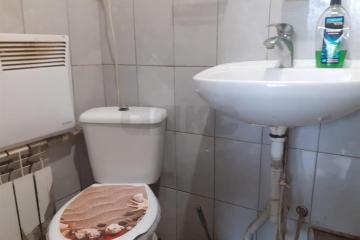 Фото №4: Личное подсобное хозяйство - Елизаветинская, ст некоммерческое  Росинка, ул. Сиреневая, 266