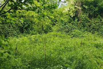 Фото №4: Земельный участок под ИЖС - Красноармейский, ул. Ворошилова