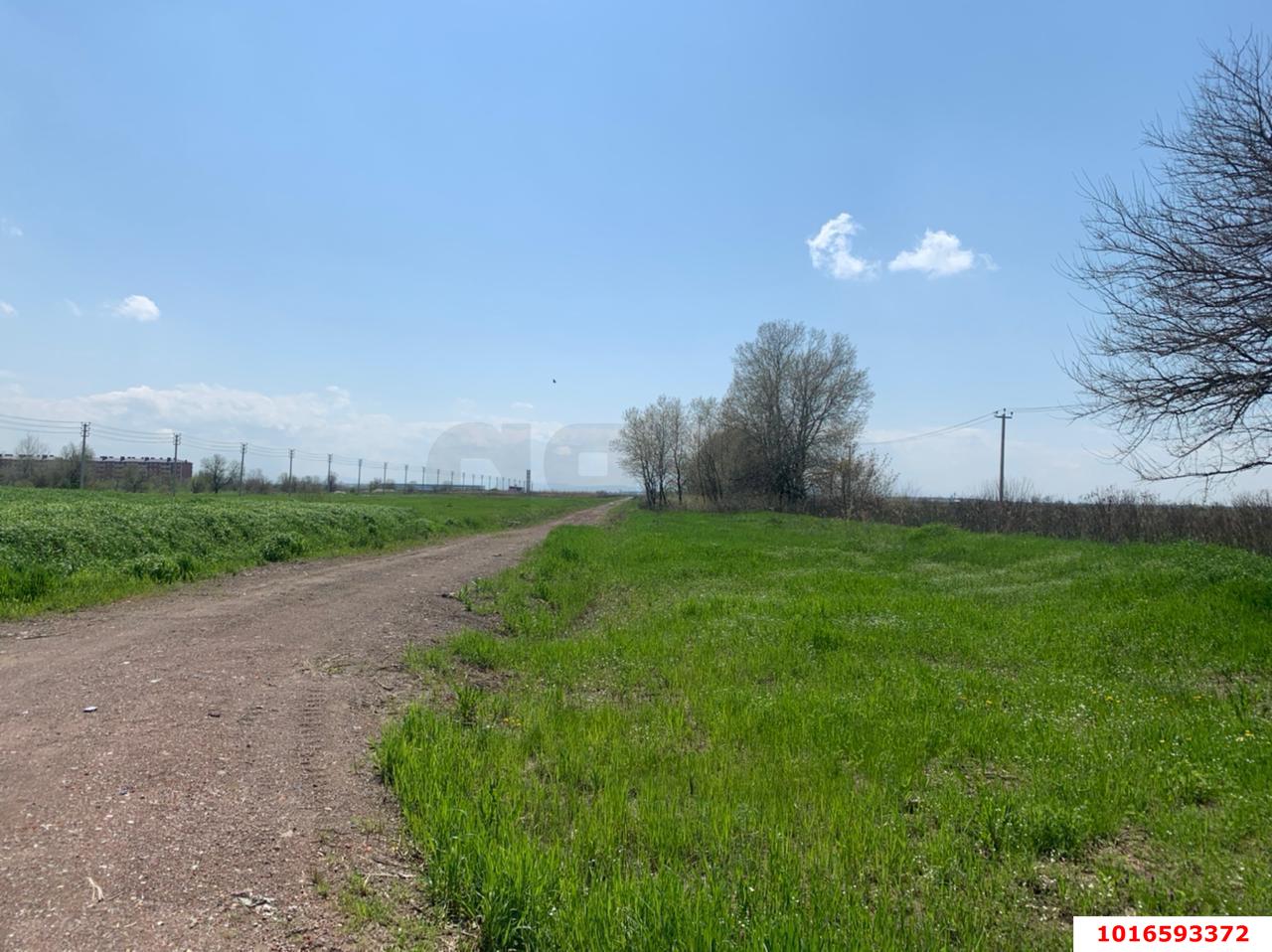 Фото №3: Земельный участок под ИЖС - Красноармейский, ул. Ворошилова