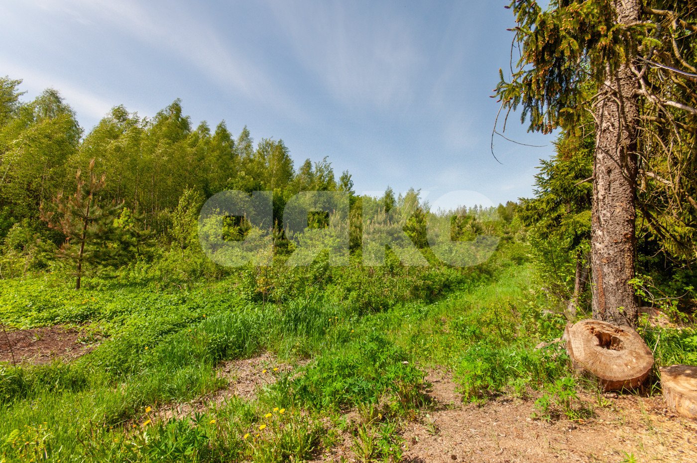 Фото №45: Дом 110 м² + 9 сот. - Эскулап, 80