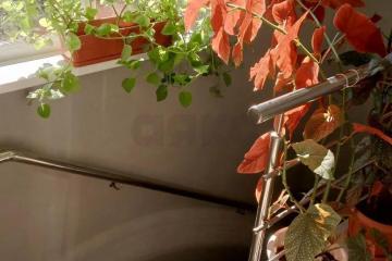 Фото №4: Дом 110 м² - садовые участки Наука, мкр. Карасунский внутригородской округ, ул. Монтажников, 497