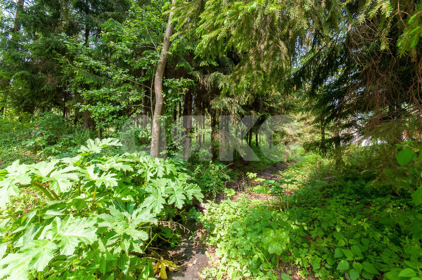 Фото №19: Земельный участок под ИЖС 5750 сот. - Овсянниково