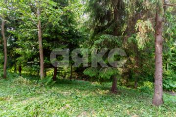 Фото №4: Земельный участок под ИЖС - Овсянниково, 