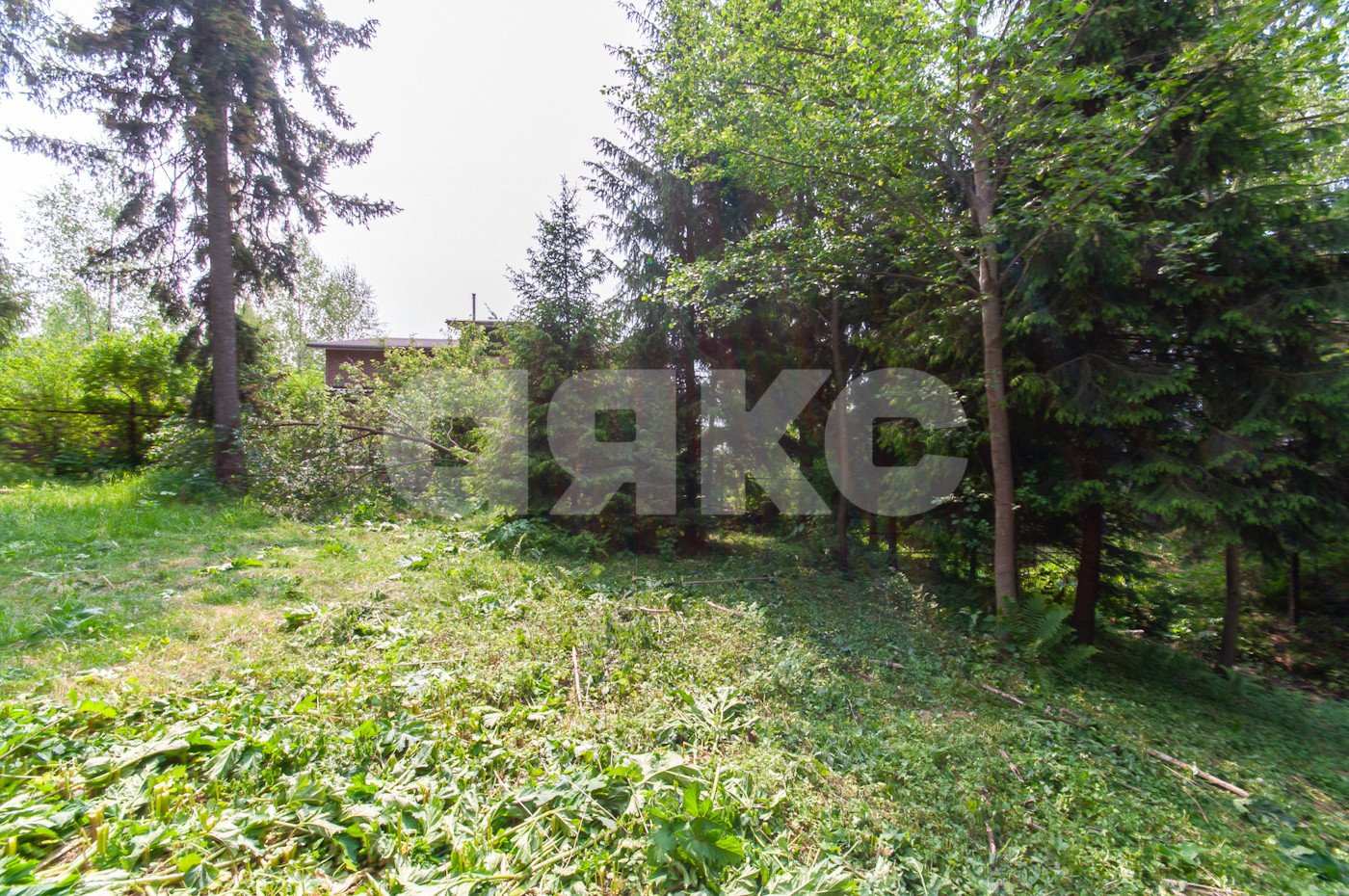 Фото №3: Земельный участок под ИЖС 5750 сот. - Овсянниково