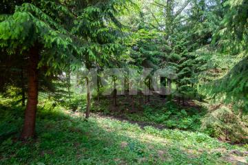 Фото №1: Земельный участок под ИЖС - Овсянниково, 