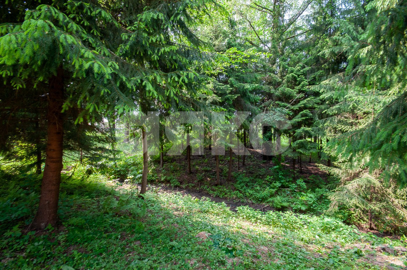 Фото №1: Земельный участок под ИЖС 5750 сот. - Овсянниково