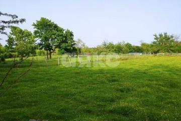 Фото №5: Земельный участок под ИЖС - Мартанская, ул. Мира