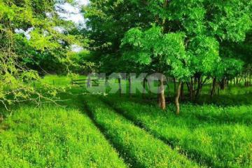 Фото №4: Земельный участок под ИЖС - Мартанская, ул. Мира