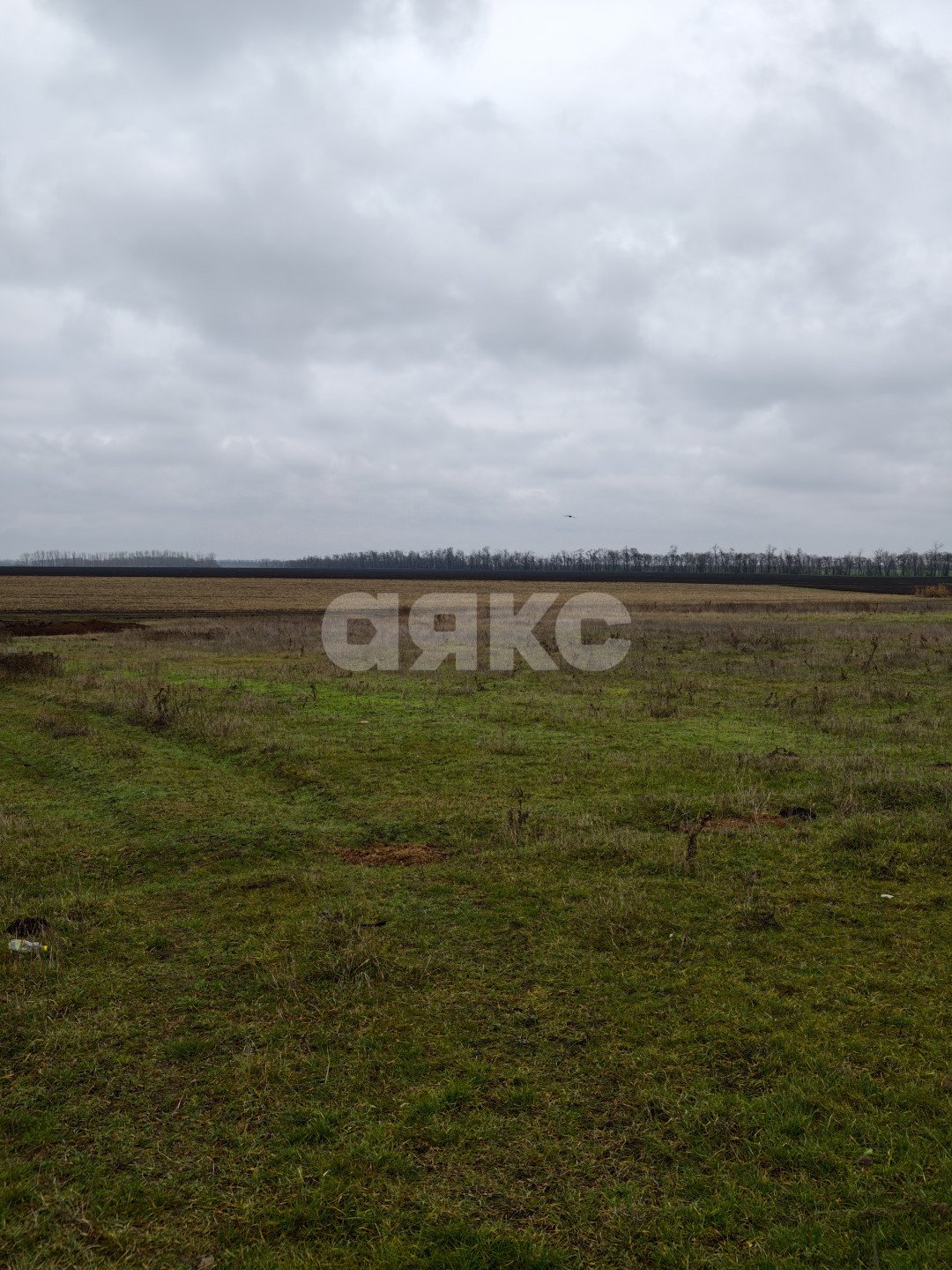 Фото №2: Земельный участок под ИЖС <span class="whitespace-nowrap">11.56 сот.</span> - Платнировская, ул. Северная