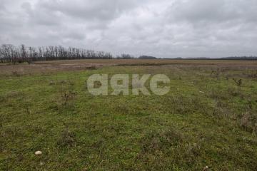 Фото №5: Земельный участок под ИЖС - Платнировская, ул. Северная