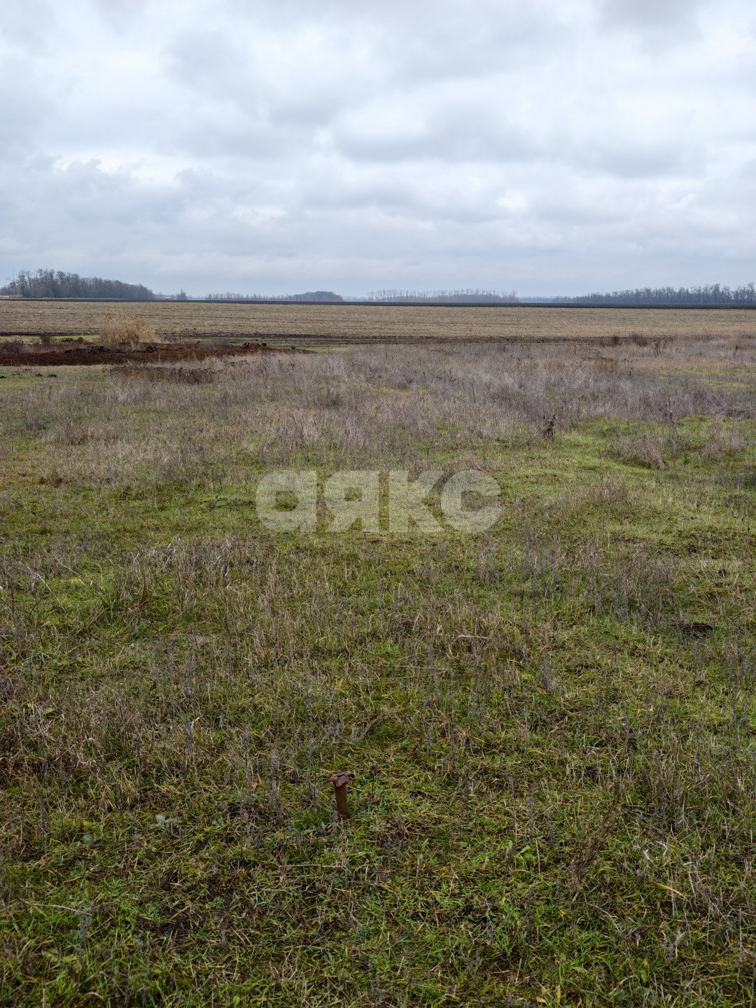 Фото №8: Земельный участок под ИЖС <span class="whitespace-nowrap">11.56 сот.</span> - Платнировская, ул. Северная