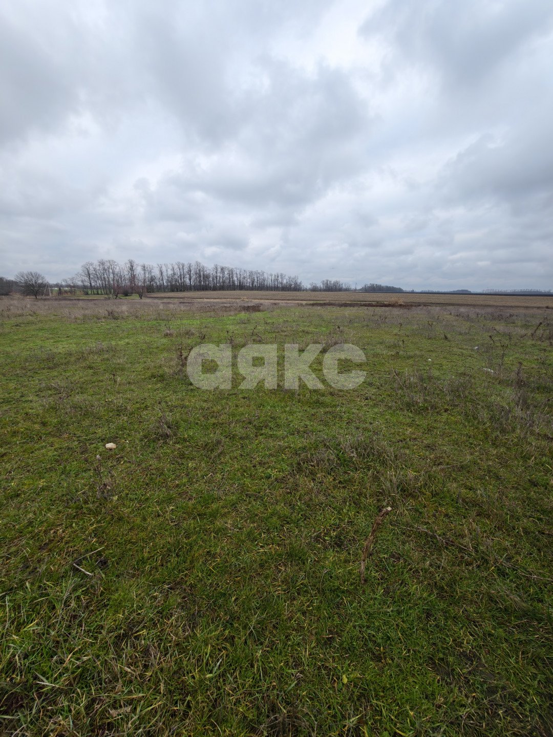 Фото №4: Земельный участок под ИЖС <span class="whitespace-nowrap">11.56 сот.</span> - Платнировская, ул. Северная
