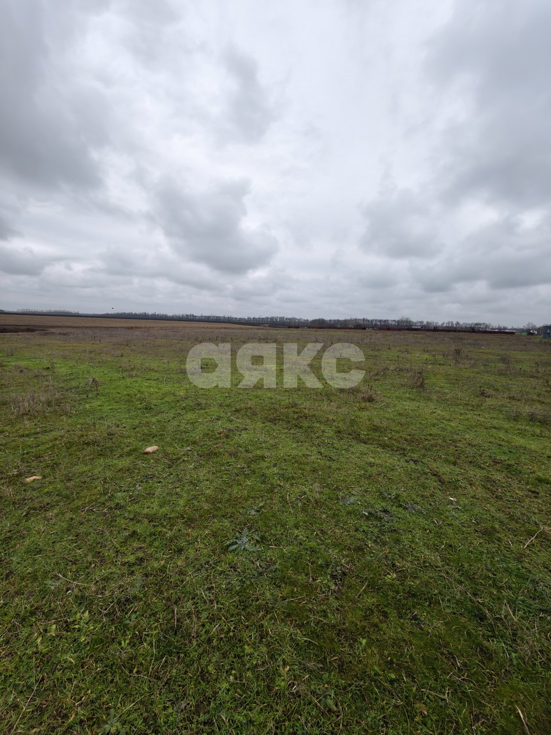 Фото №15: Земельный участок под ИЖС <span class="whitespace-nowrap">11.56 сот.</span> - Платнировская, ул. Северная
