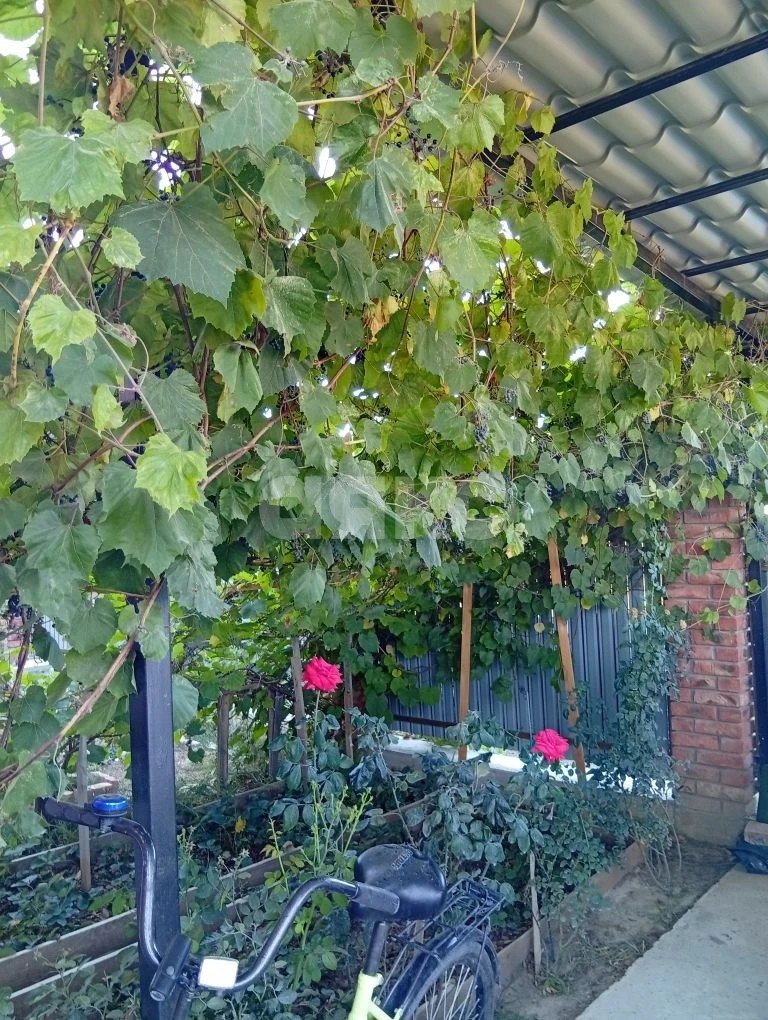 Фото №16: Дом 90 м² + 4 сот. - Раевская, мкр. Экопоселение Варшана, ул. Золотая