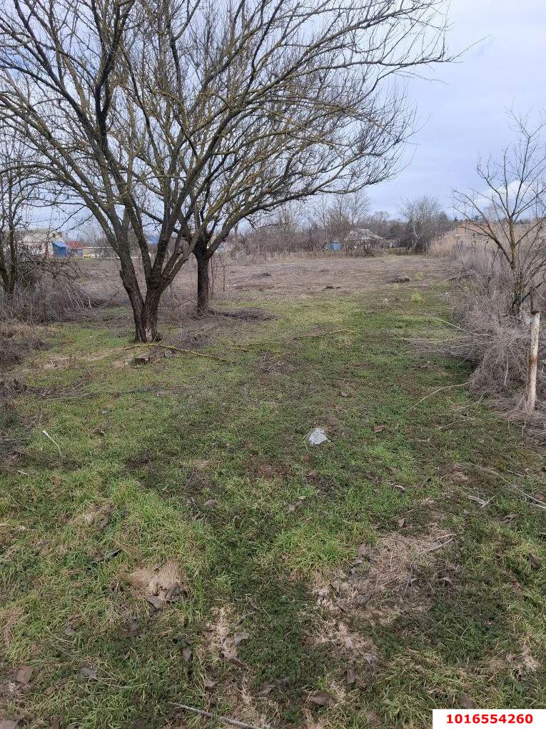 Фото №2: Дом 33 м² + 19.9 сот. - Новоплатнировская, ул. Жлобы