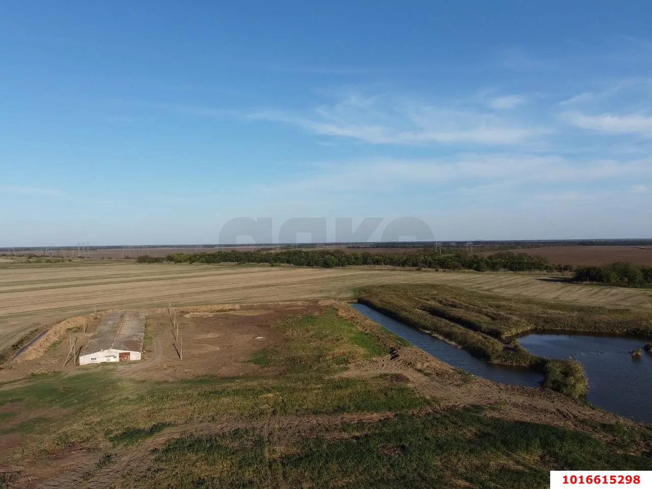 Фото №6: Коммерция 1762 м² - Краснодарский край Красноармейский район