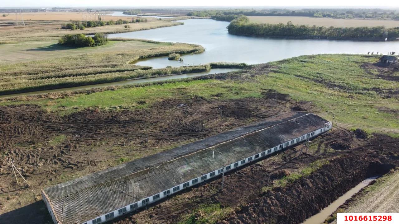 Фото №17: Коммерция 1762 м² - Краснодарский край Красноармейский район