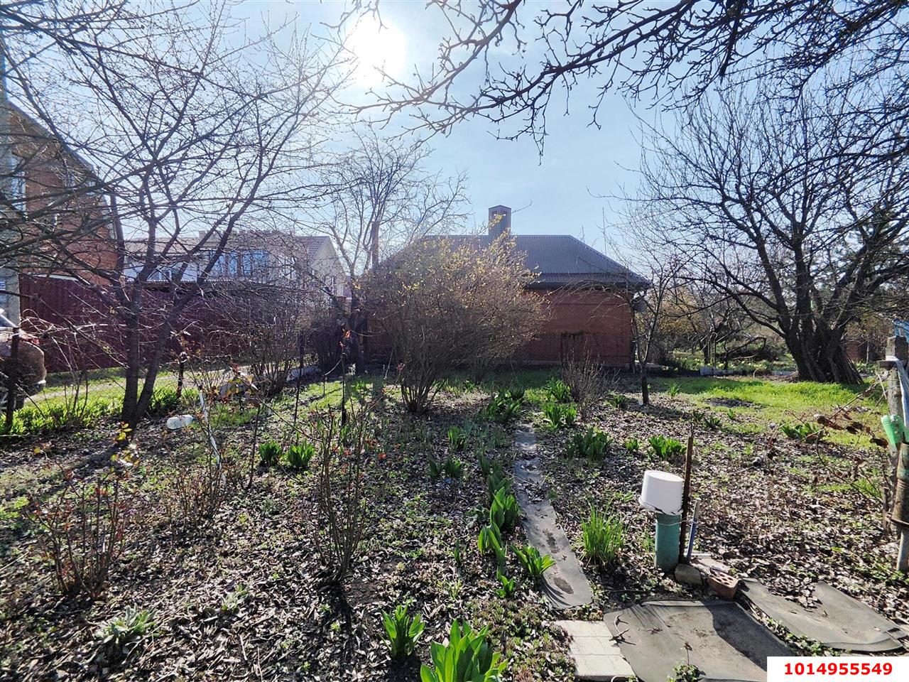 Фото №6: Личное подсобное хозяйство - СНТ 50 лет Октября, мкр. Прикубанский внутригородской округ, ул. Зелёная, 79