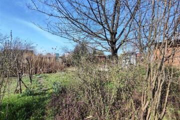 Фото №4: Личное подсобное хозяйство - СНТ 50 лет Октября, мкр. Прикубанский внутригородской округ, ул. Зелёная, 79