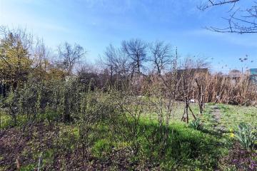 Фото №3: Личное подсобное хозяйство - СНТ 50 лет Октября, мкр. Прикубанский внутригородской округ, ул. Зелёная, 79