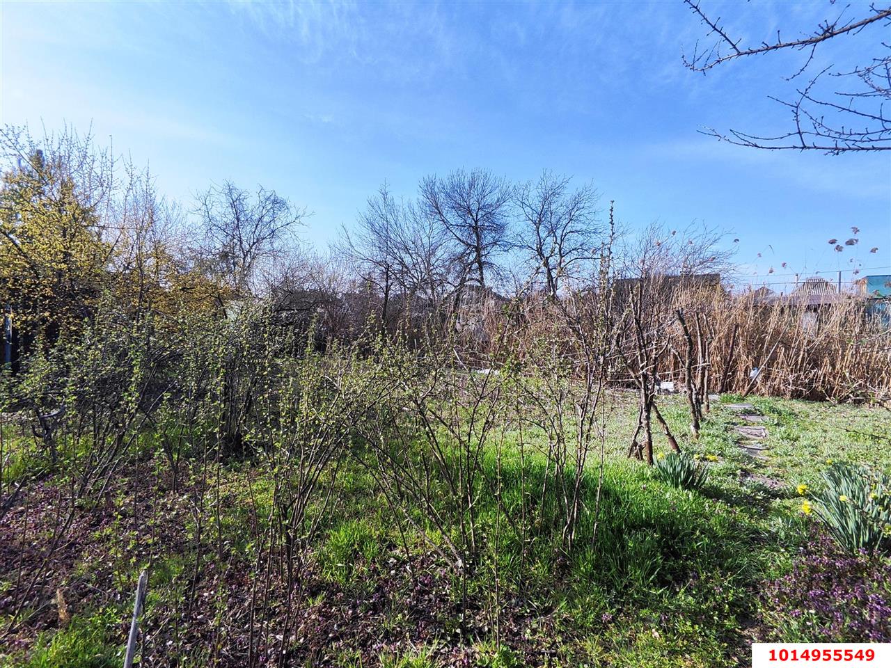 Фото №3: Личное подсобное хозяйство - СНТ 50 лет Октября, мкр. Прикубанский внутригородской округ, ул. Зелёная, 79