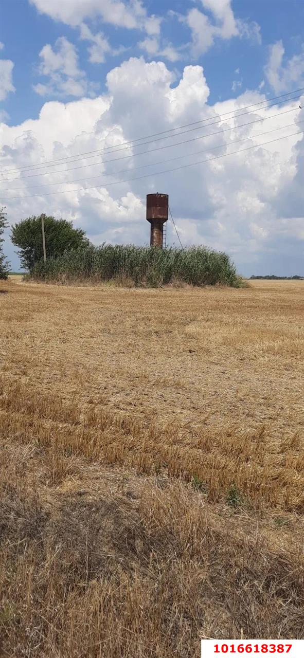 Фото №20: Коммерция 160 м² - Ивановская