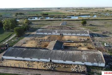 Фото №4: Коммерция 160 м² - Ивановская, 