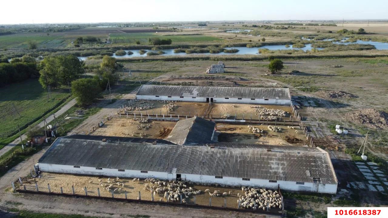 Фото №4: Коммерция 160 м² - Ивановская