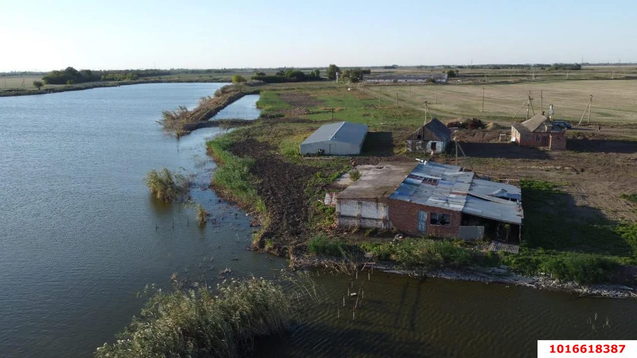 Фото №11: Коммерция 160 м² - Ивановская