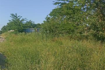 Фото №3: Личное подсобное хозяйство - Курган, ул. Клубничная, 144