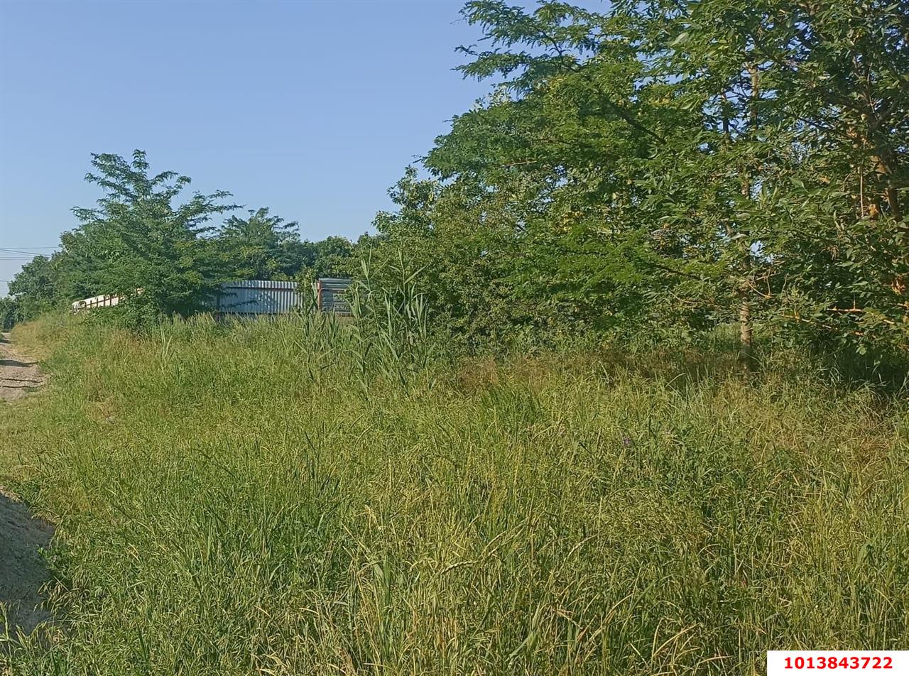 Фото №3: Личное подсобное хозяйство - Курган, ул. Клубничная, 144