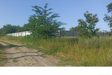 Фото №2: Личное подсобное хозяйство - Курган, ул. Клубничная, 144