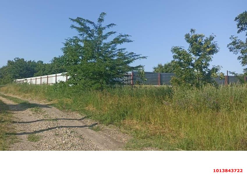 Фото №2: Личное подсобное хозяйство - Курган, ул. Клубничная, 144