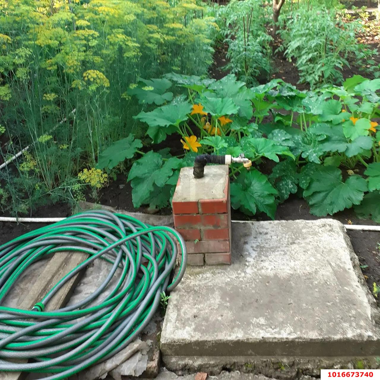 Фото №14: Дом 43 м² + 6.03 сот. - Ивушка, мкр. Прикубанский внутригородской округ, ул. Восточная, 8