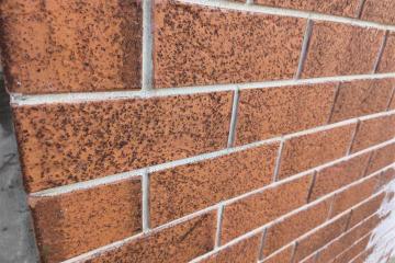 Фото №4: Дом 97 м² - Старомышастовская, ул. Космонавтов