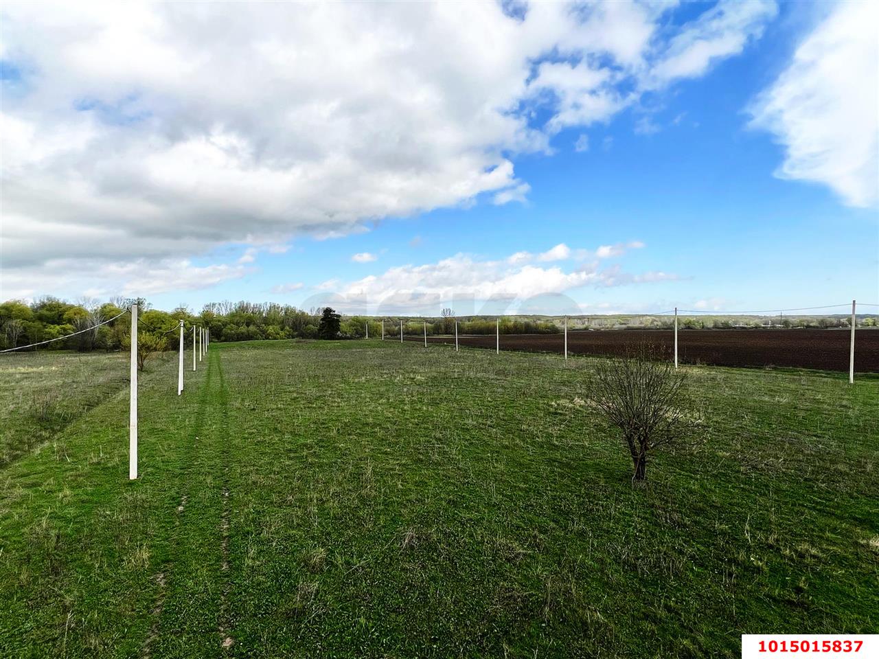 Фото №5: Коммерция 13 м² - Краснодарский край муниципальный округ Горячий Ключ