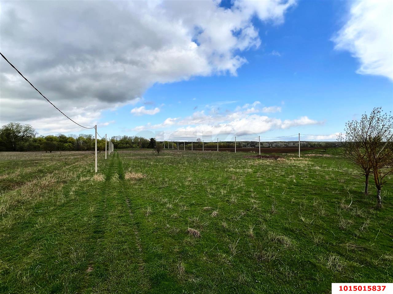 Фото №4: Коммерция 13 м² - Краснодарский край муниципальный округ Горячий Ключ