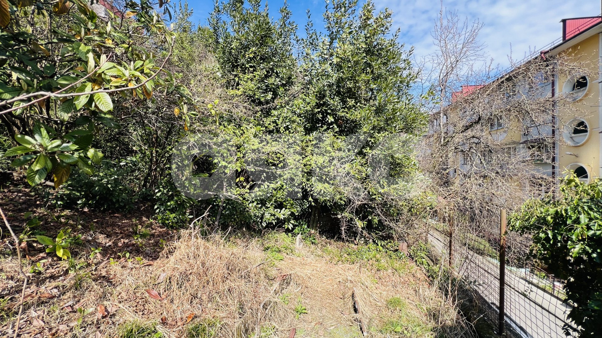 Фото №7: Земельный участок под ИЖС 8.9 сот. - Сочи, Центральный, Гагарина, мкр. Новый Сочи, ул. Цюрупы, 50