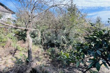 Фото №3: Земельный участок под ИЖС - Сочи, мкр. Новый Сочи, ул. Цюрупы, 50