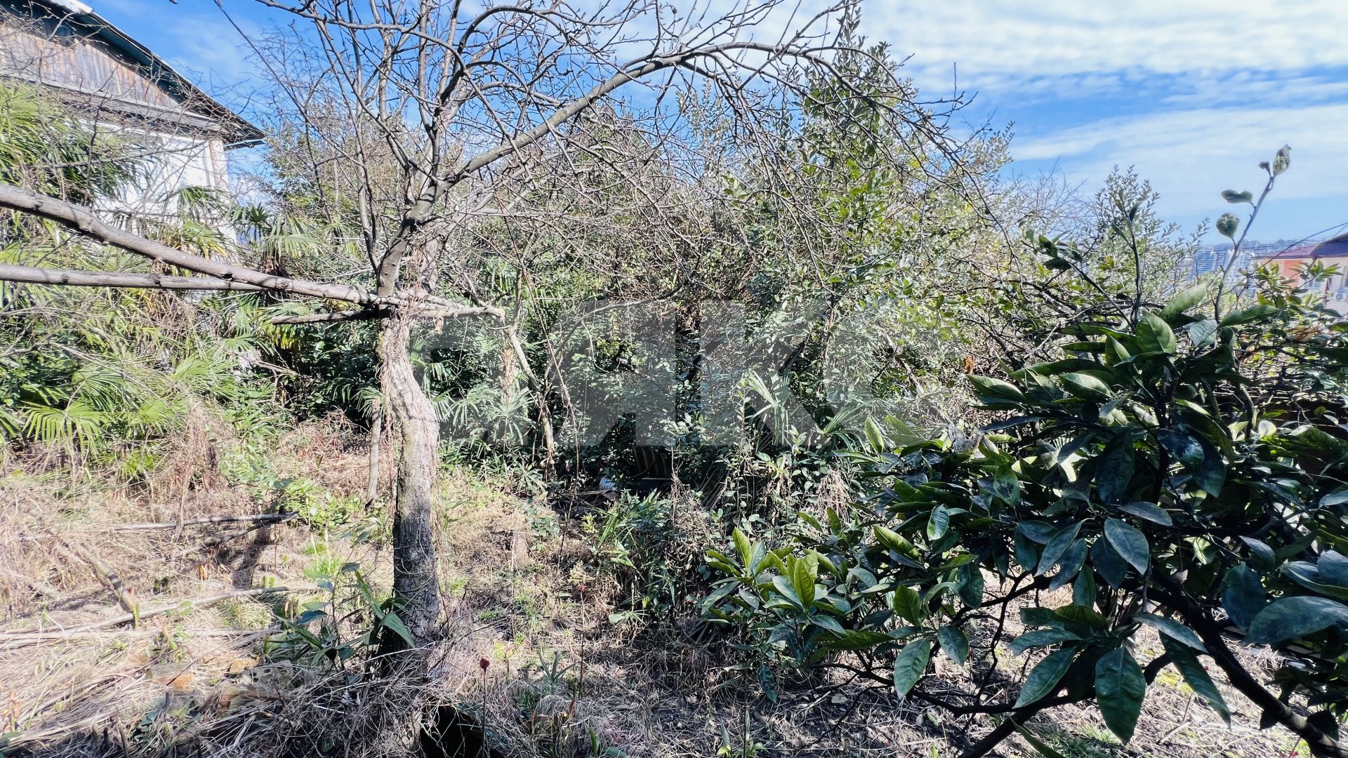 Фото №3: Земельный участок под ИЖС 8.9 сот. - Сочи, Центральный, Гагарина, мкр. Новый Сочи, ул. Цюрупы, 50