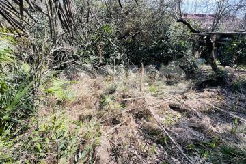 Фото №2: Земельный участок под ИЖС - Сочи, мкр. Новый Сочи, ул. Цюрупы, 50