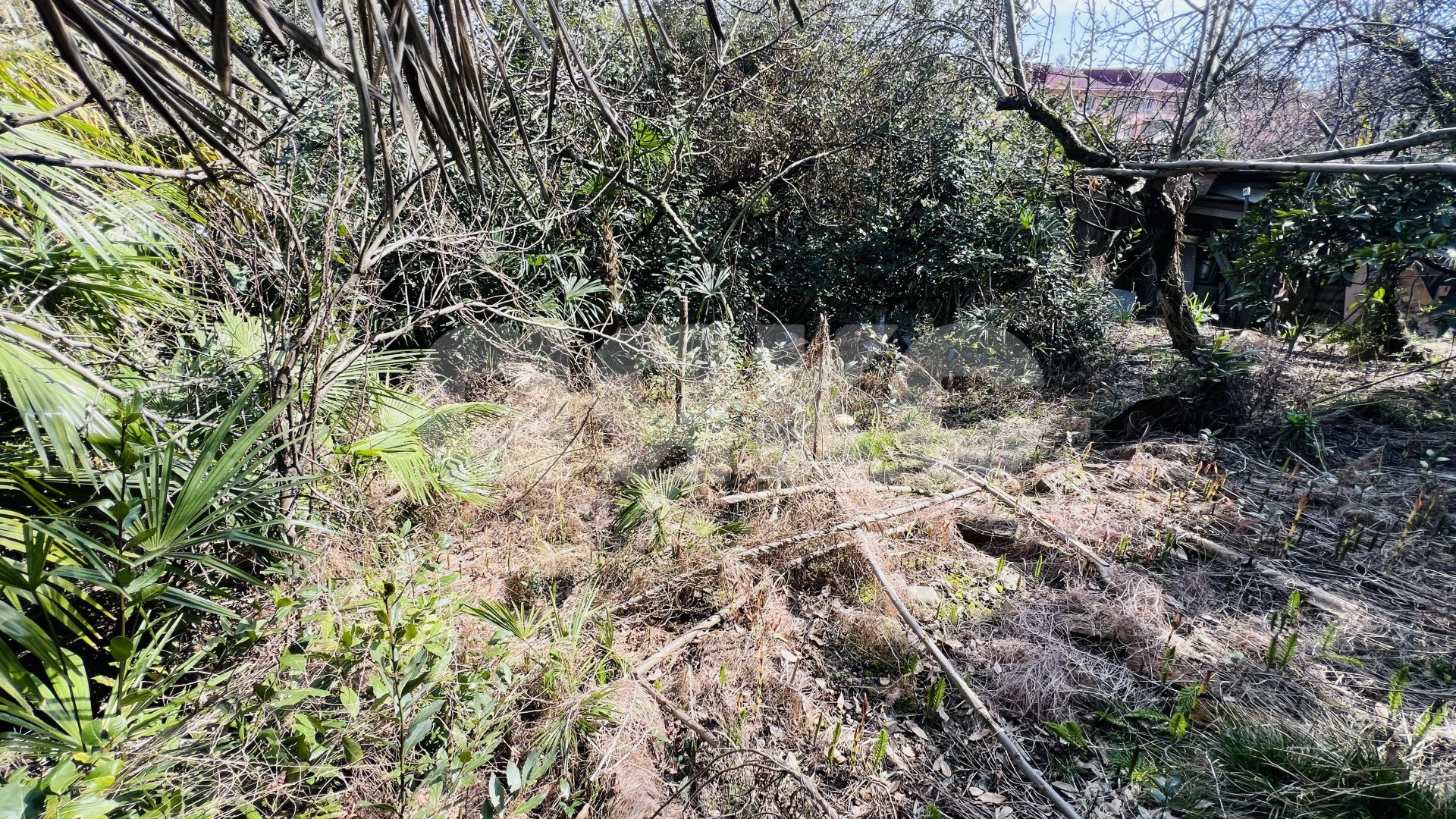 Фото №2: Земельный участок под ИЖС 8.9 сот. - Сочи, Центральный, Гагарина, мкр. Новый Сочи, ул. Цюрупы, 50